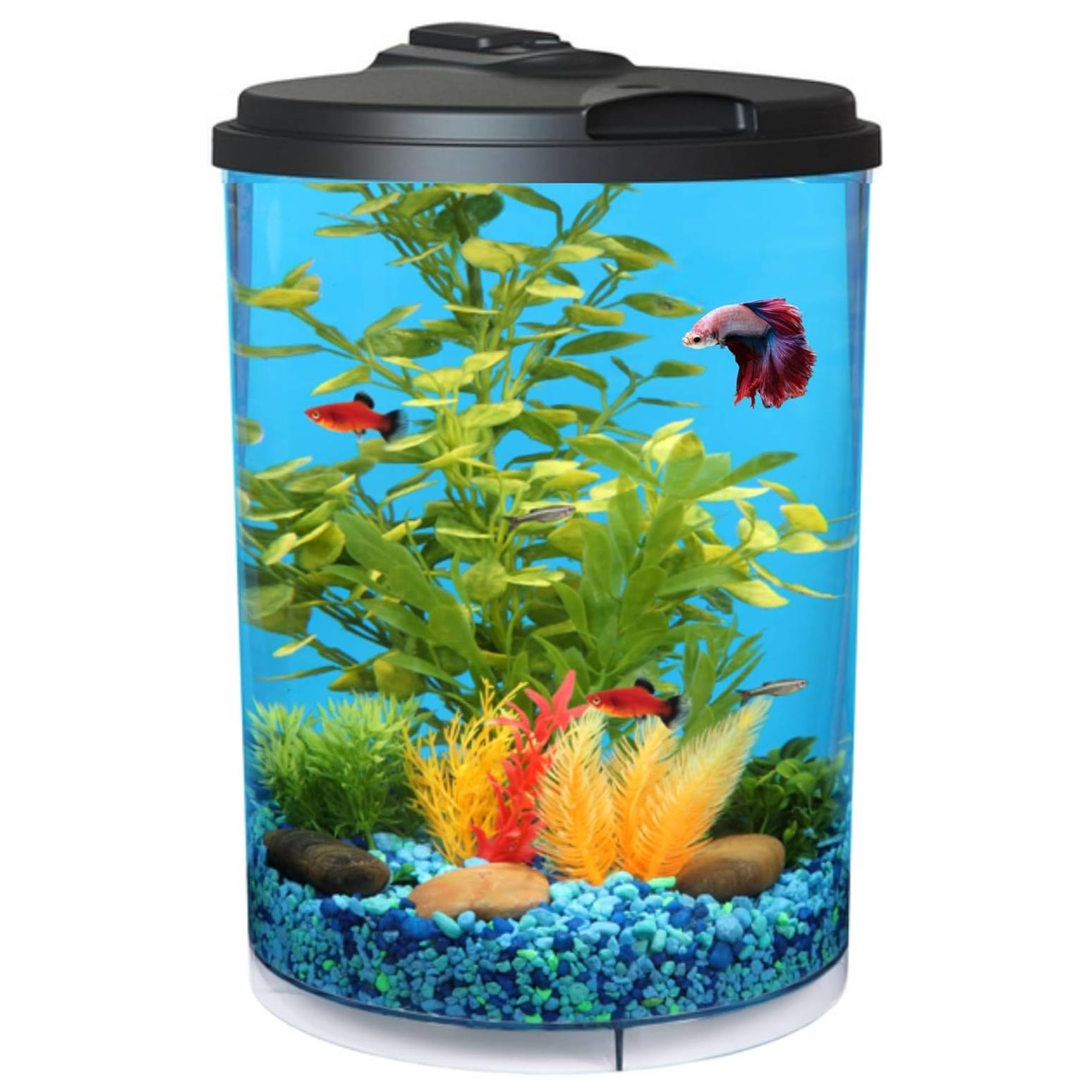 Koller Tropical 360 View Aquarium Starter Kit