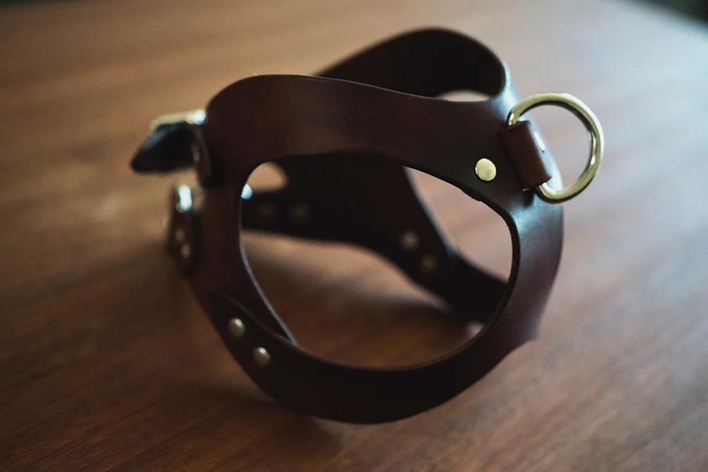 Leather Harness- Instructables