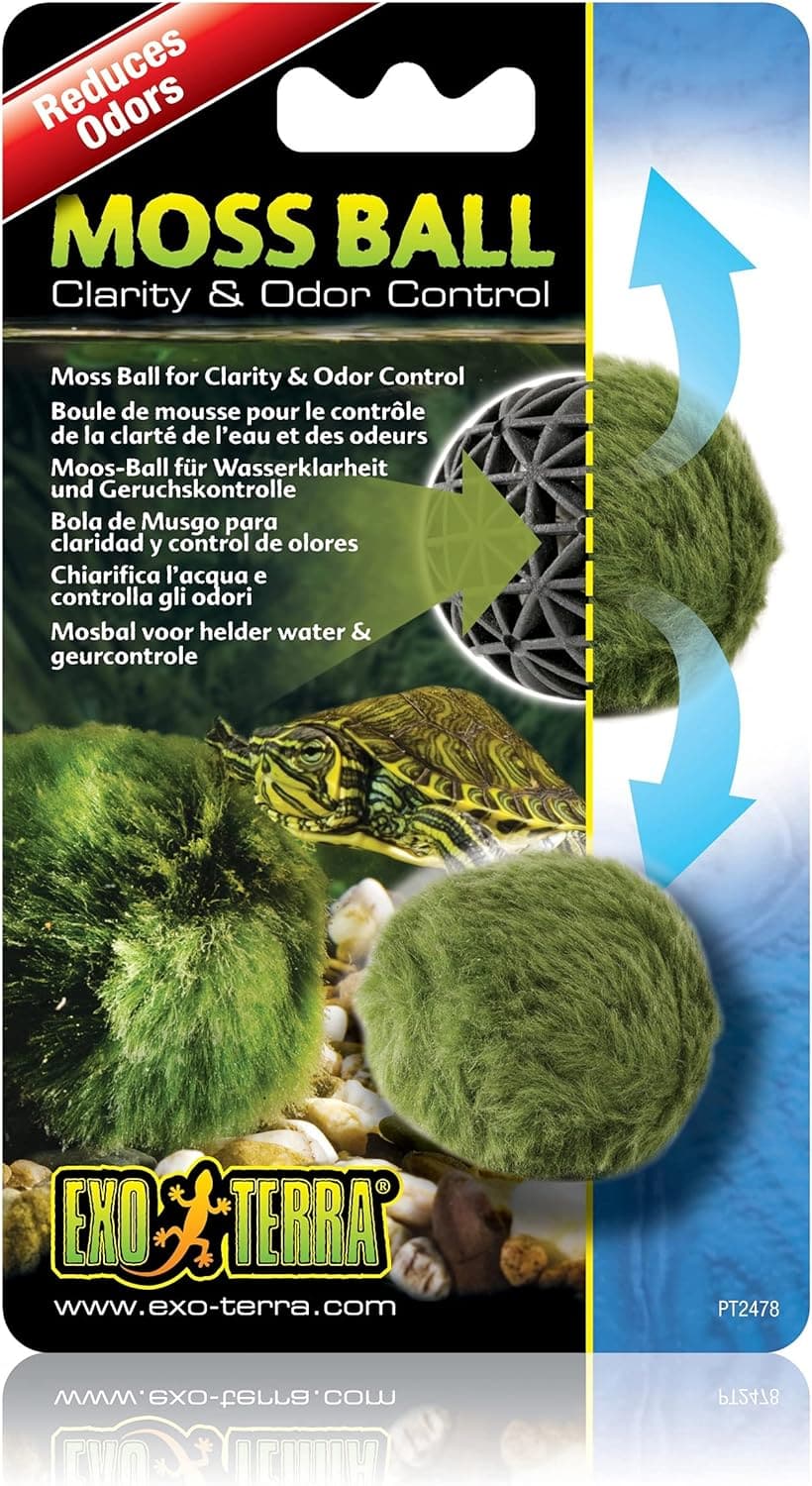 Moss Balls