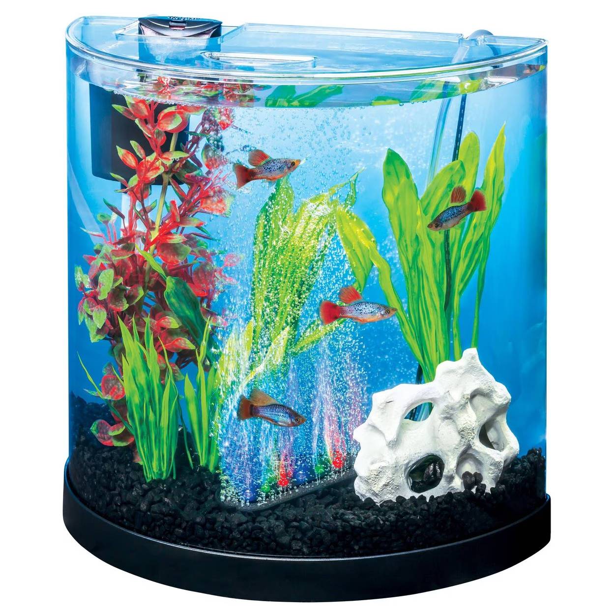 My Fun Fish Aquarium