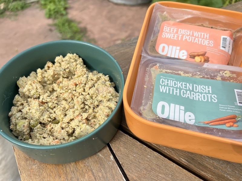 Ollie dog food in bowl beef and chicken flavors