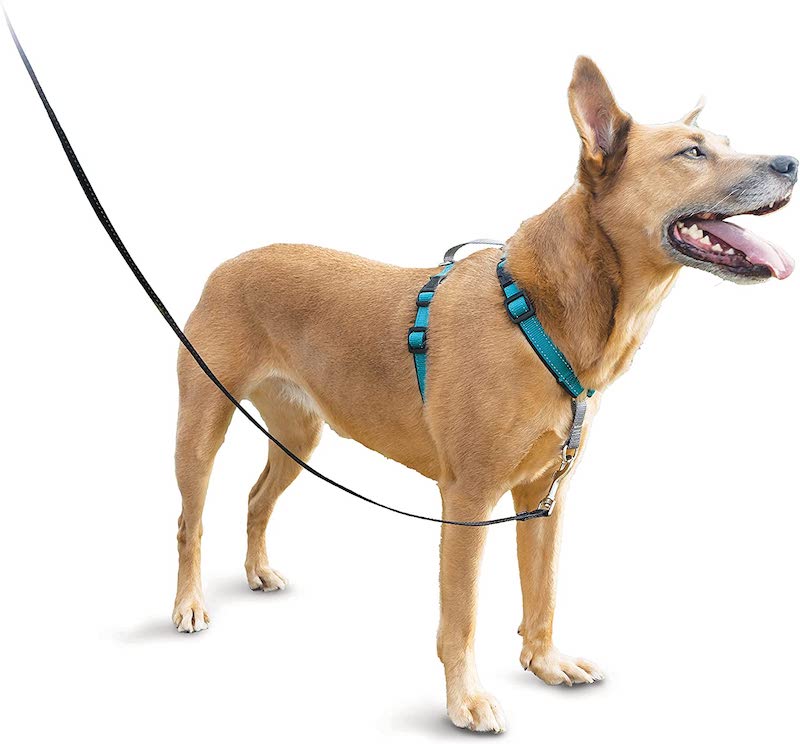PetSafe step-in dog harness