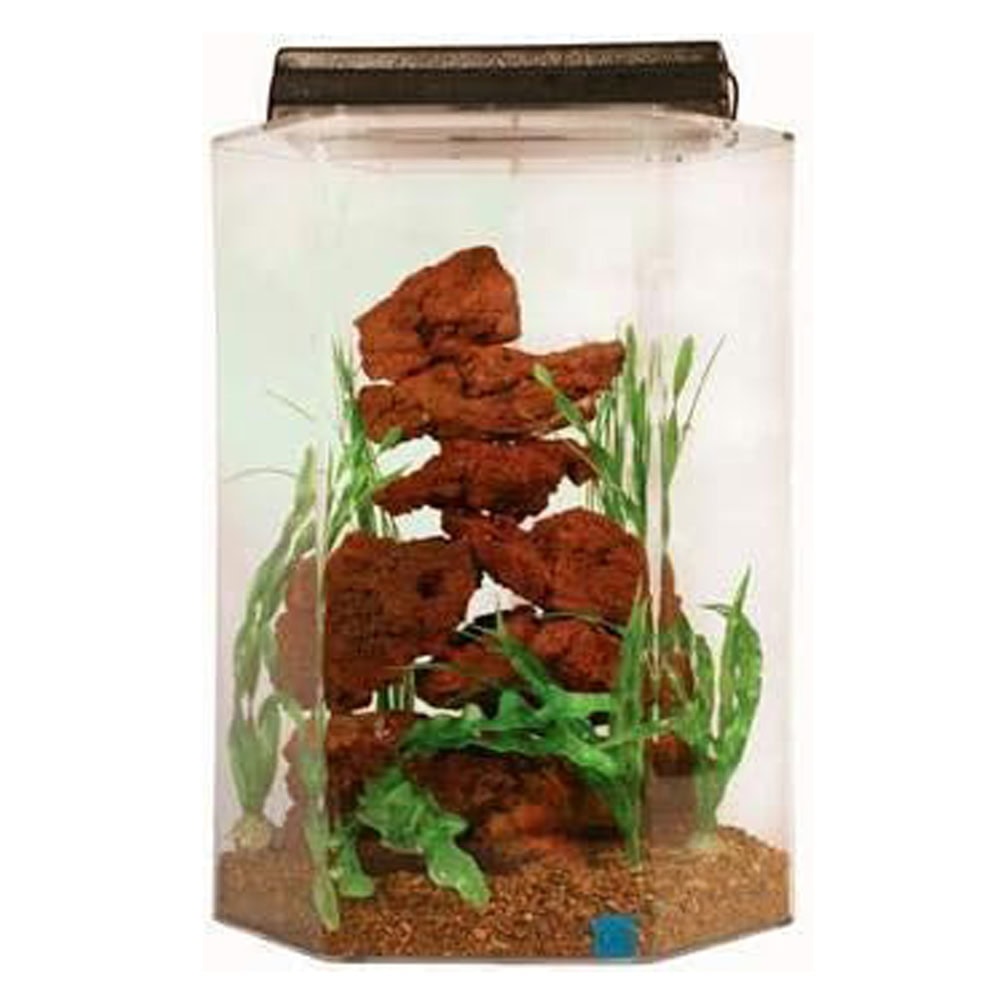 SeaClear 20 gal Deluxe Hexagon Acrylic Aquarium Combo Set