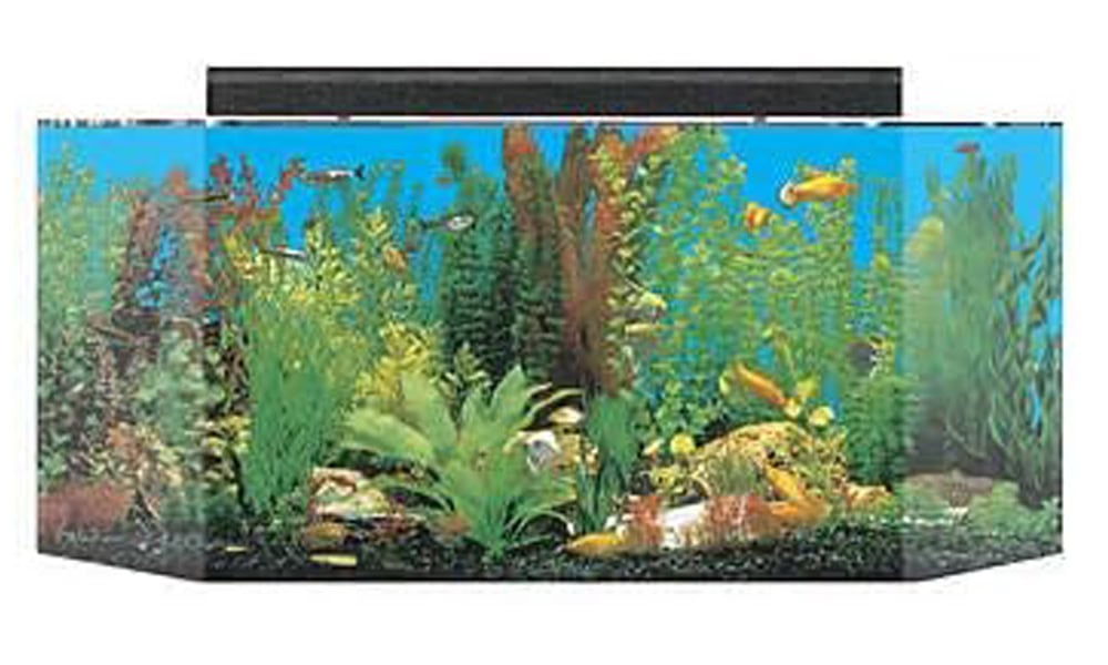 SeaClear 26 gal Flat Back Hexagon Acrylic Aquarium Combo Set