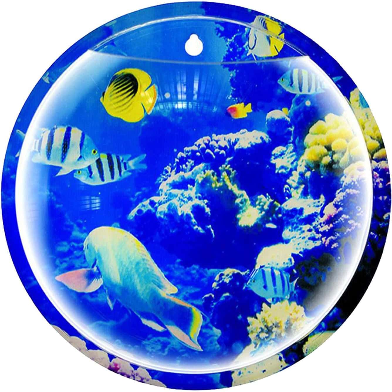 Tfwadmx Wall Mounted Aquarium