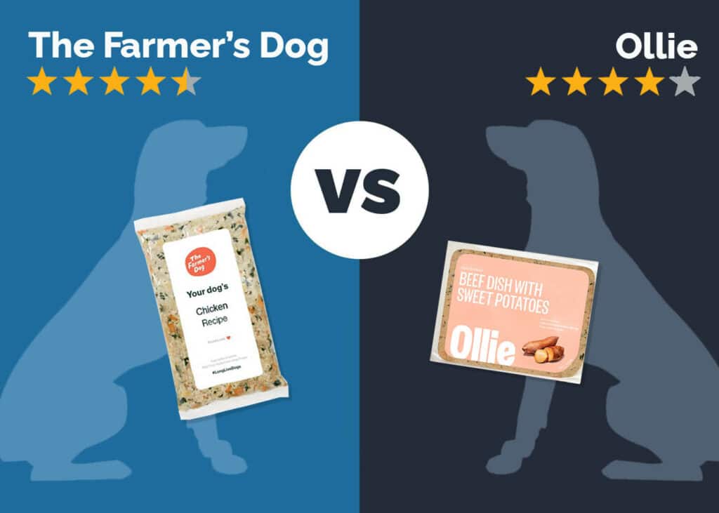 Farmers Dog Vs Ollie