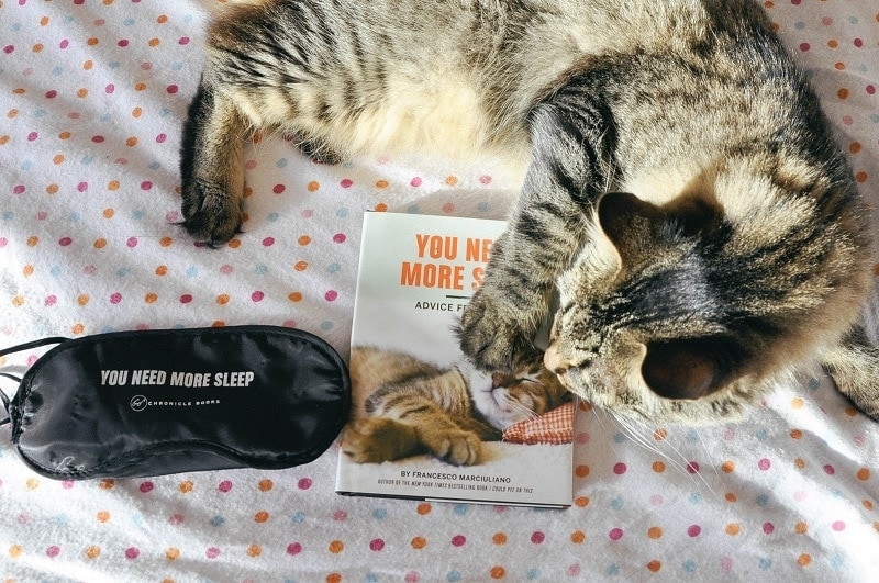 You Need More Sleep Advice from Cats (Cat Book, Funny Cat Book, Cat Gifts for Cat Lovers) - Image 1