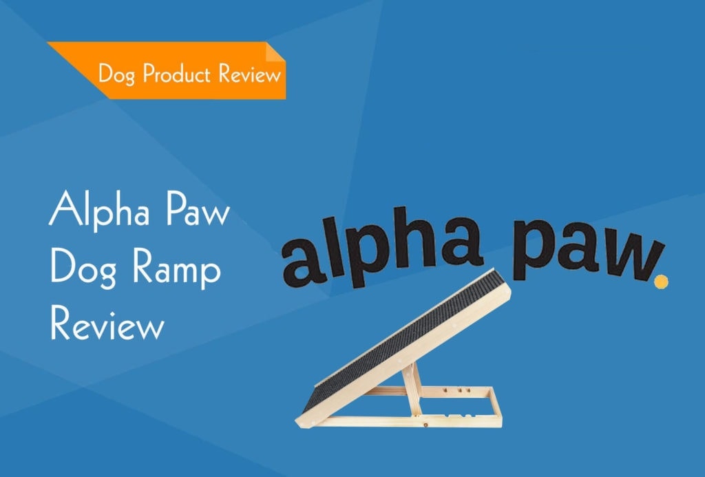 alpha-paw-dog-review3