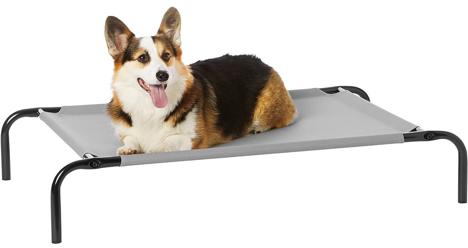 Amazon Basics Elevated Outdoor Cat Bed