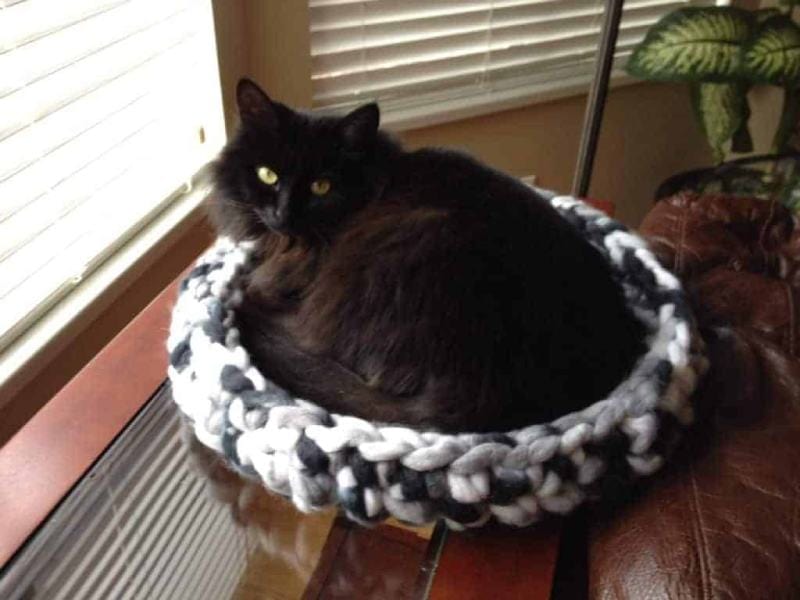 CROCHET CAT BED- HOW TO MAKE A CAT BED WITH CHUNKY CROCHET