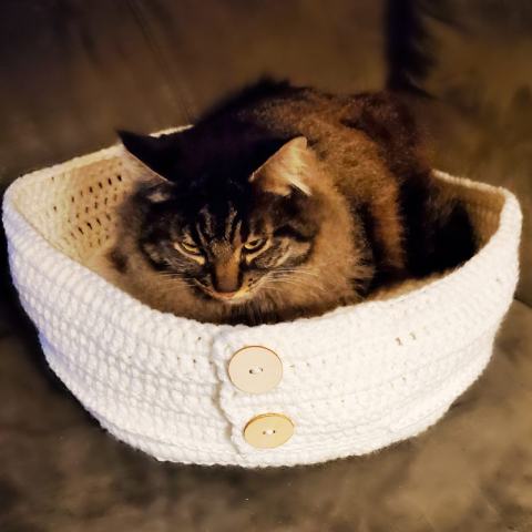 Cat Bed Crochet Pattern
