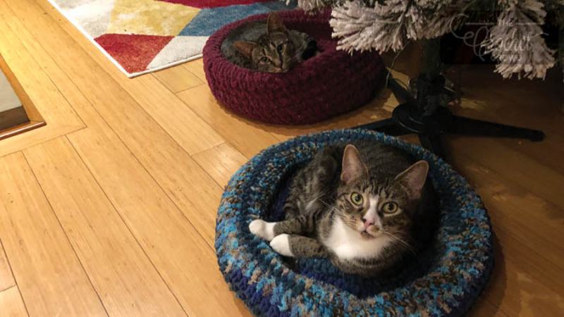 Crochet Padded Rim Cat Nap Bed