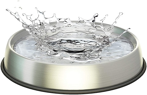 Dr. Catsby Cat Water Bowl