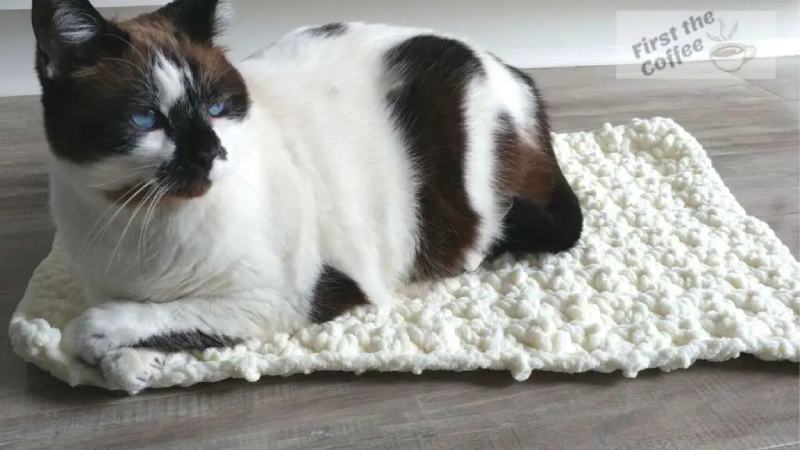 Easy Crochet Cat Mat – Free Crochet Cat Bed Pattern