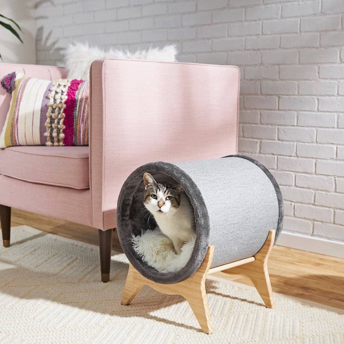 Frisco Modern Tunnel Cat Bed