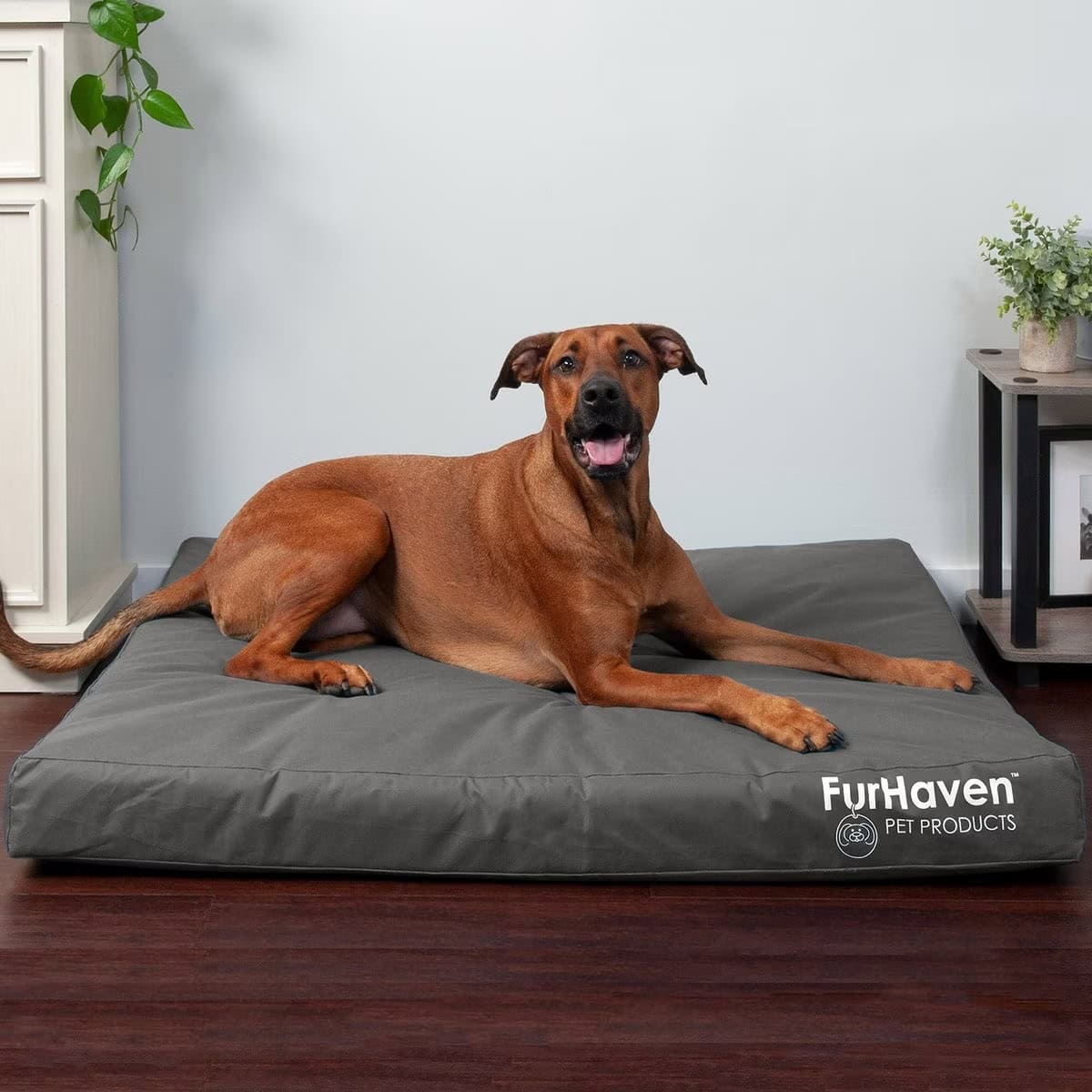 FurHaven Deluxe Orthopedic Outdoor Cat Bed