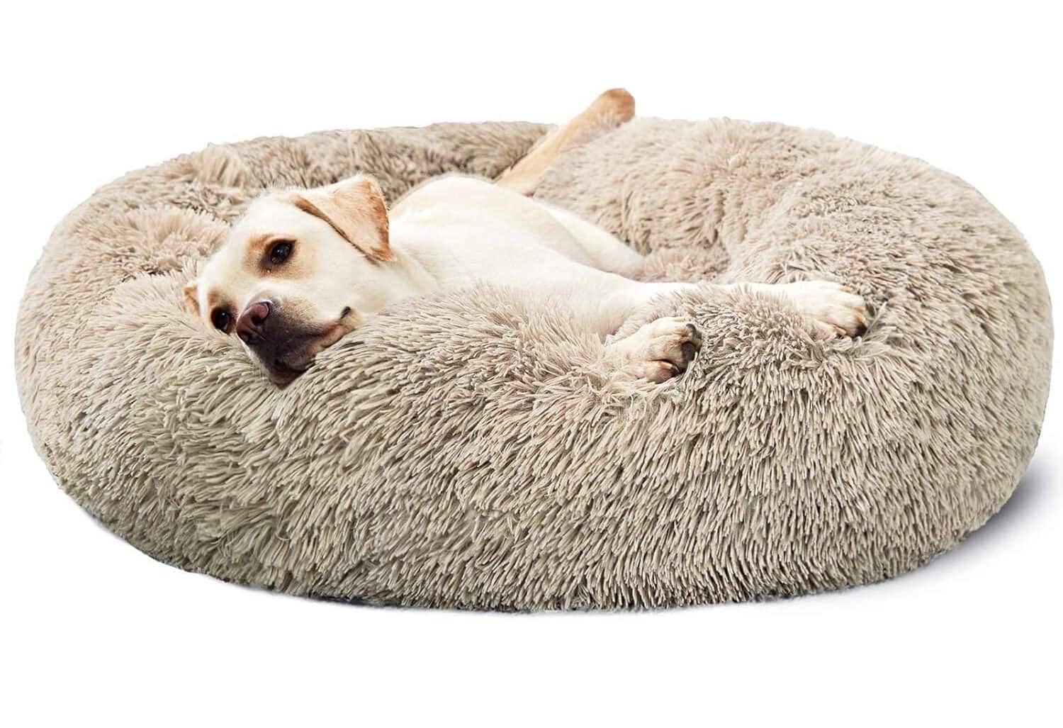 HACHIKITTY Dog Calming Donut Bed