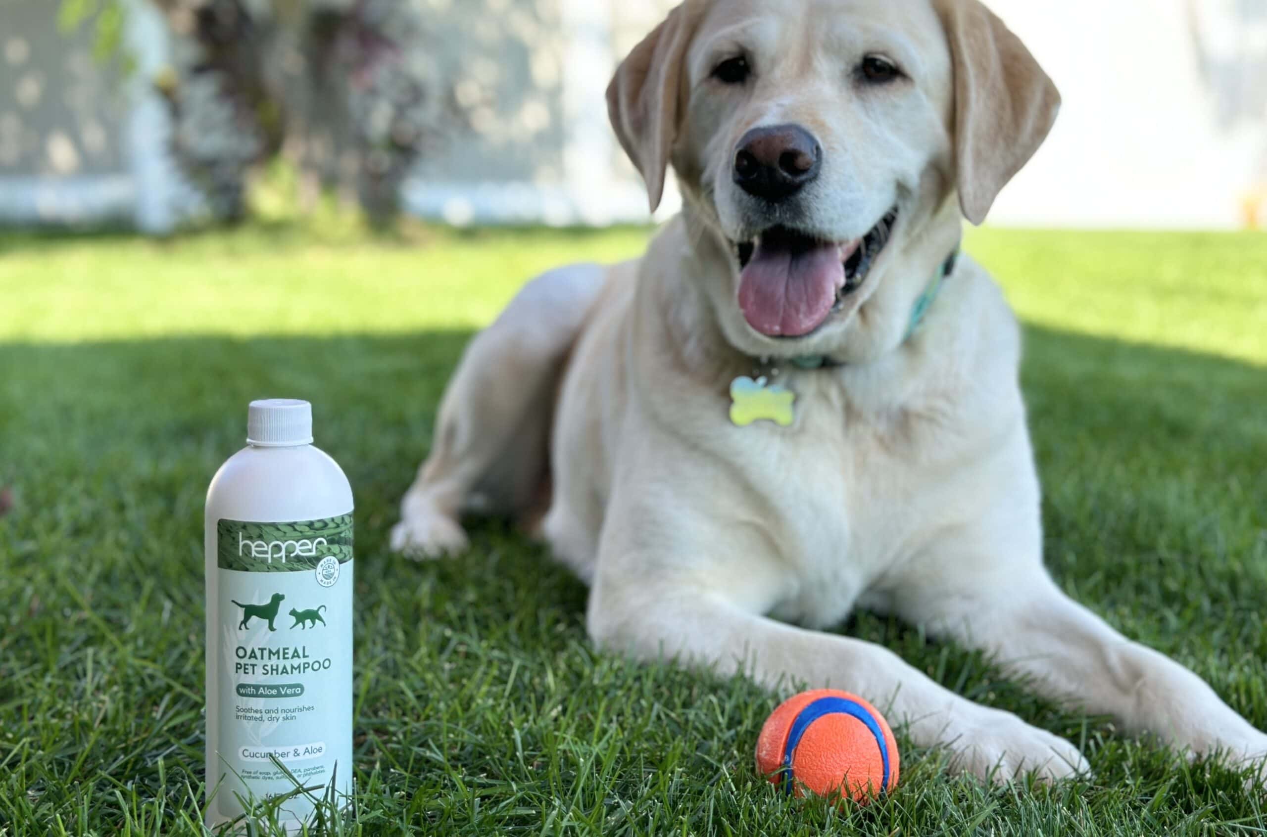 Hepper Colloidal Shampoo White lab