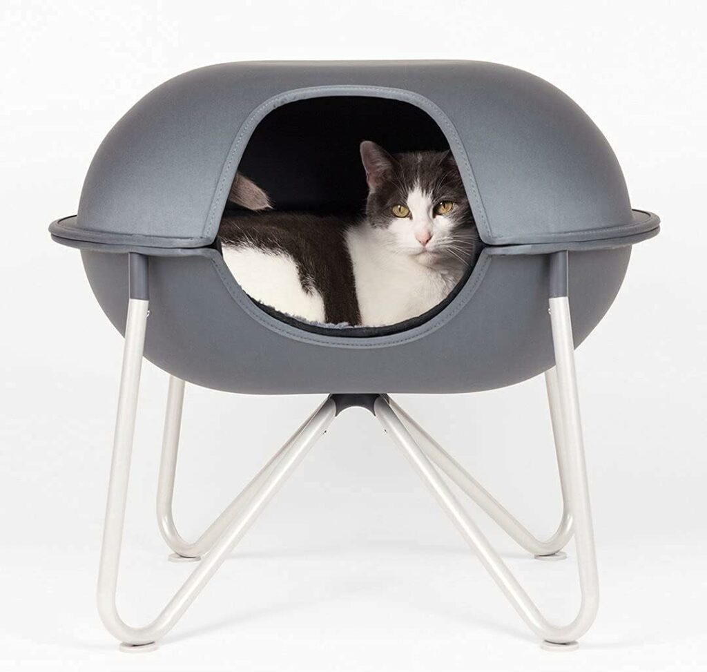Illustration of Therapeutic Cat Beds For Senior Cats