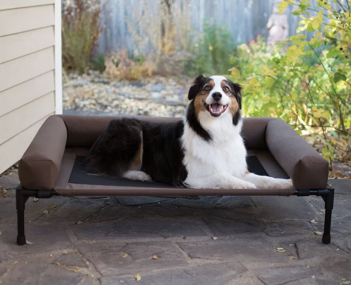 K&H PET PRODUCTS Bolster Elevated Cat Bed