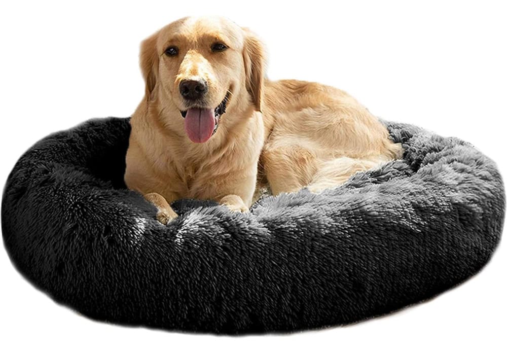 MFOX Calming Dog Bed 