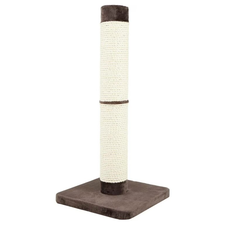 8 Best Cat Scratching Posts - 2026 Reviews & Top Picks | Hepper Pet ...