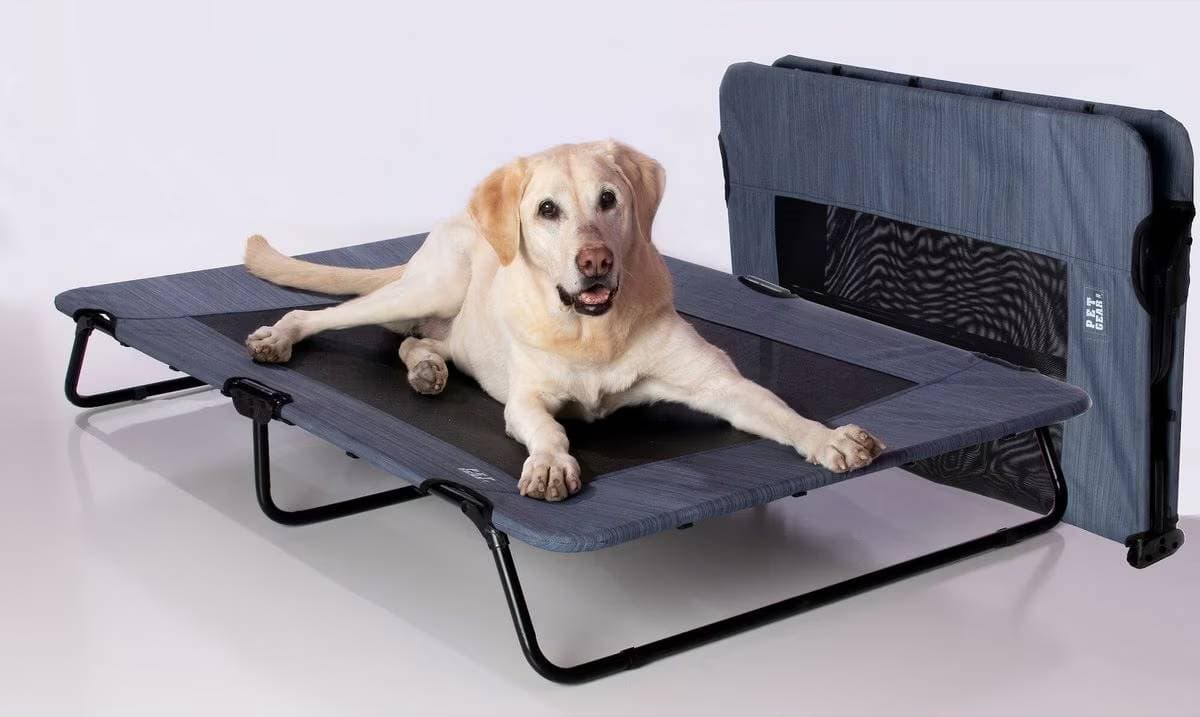 Pet Gear Elevated Cat Bed
