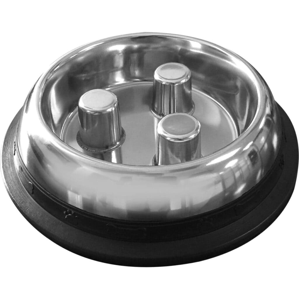 10 Best Stainless Steel Cat Bowls in 2026 - Reviews & Top Picks ... - Stainless Steel Cat Bowl