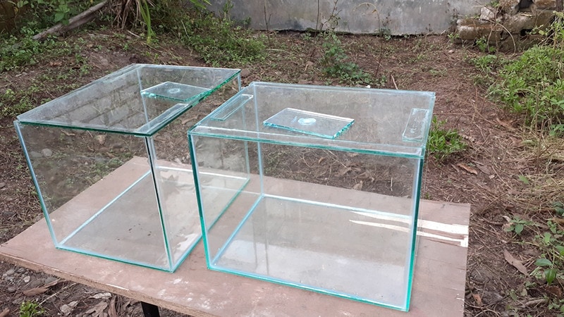 Empty Aquarium