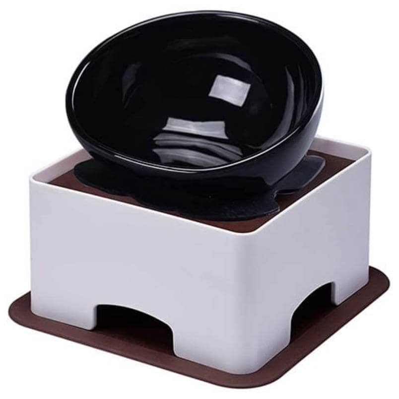 YMAXGO Elevated Tilted Dog Bowls Set