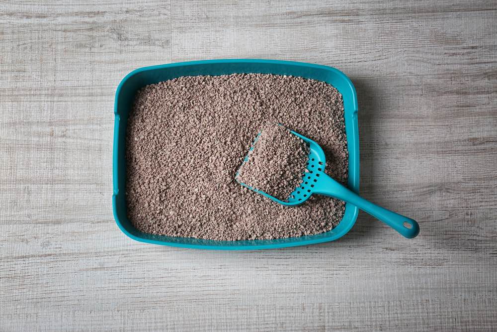 litter box with scoop