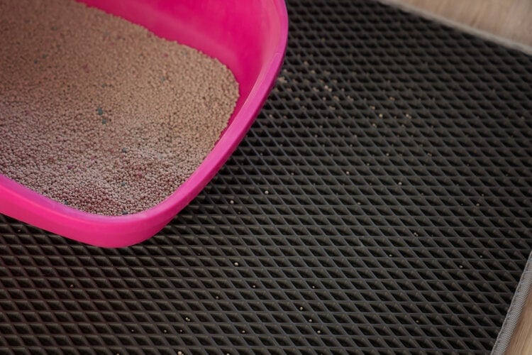 cat litter mat_ArtCranberry, Shutterstock