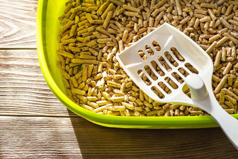 wood pellets in a litter box