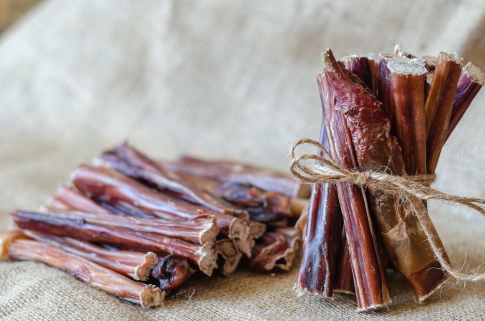 Bully pizzle pile and by the piece