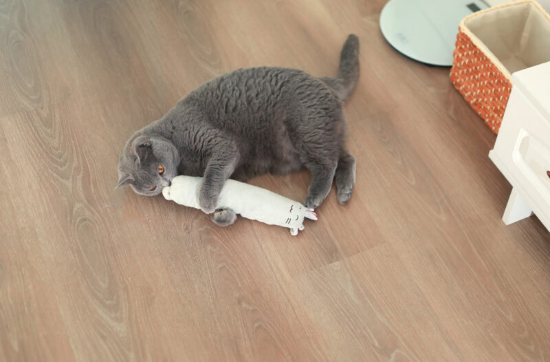 grey cat playing with the hepper mouse kicker toy on a wooden floor