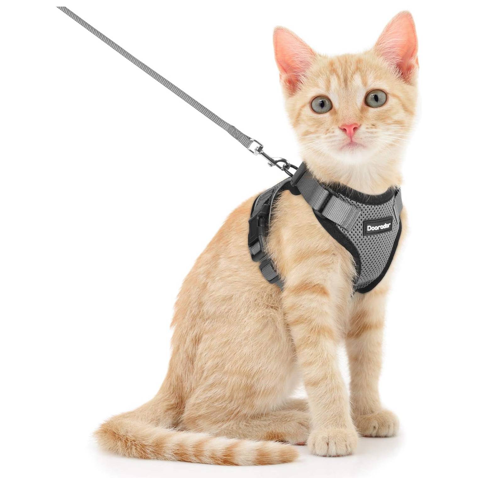 Dooradar Cat Leash & Harness Set