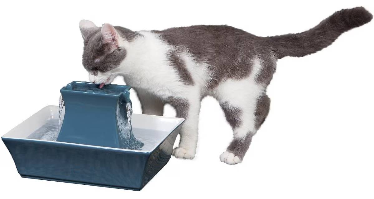 Drinkwell Pagoda Ceramic Cat Fountain