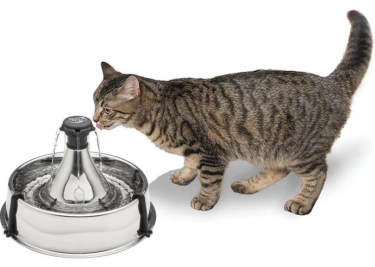 Drinkwell Stainless Steel Pet Water Fountain