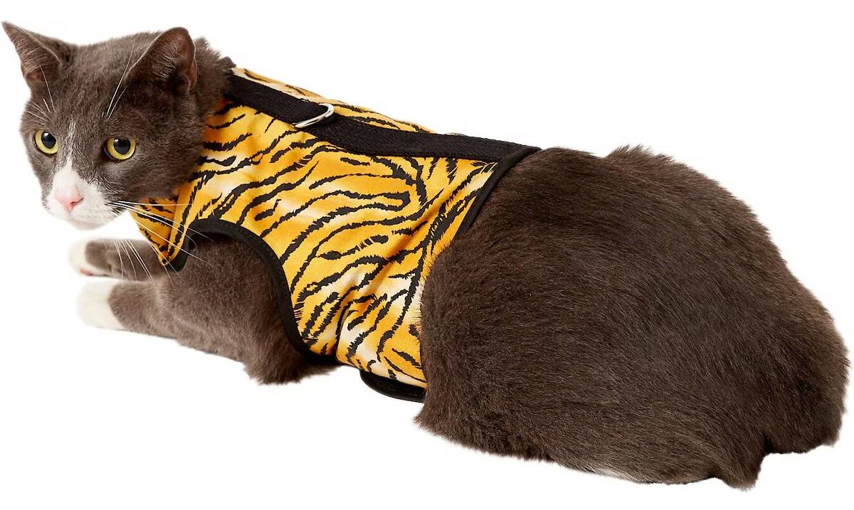 Kitty Holster Cat Harness