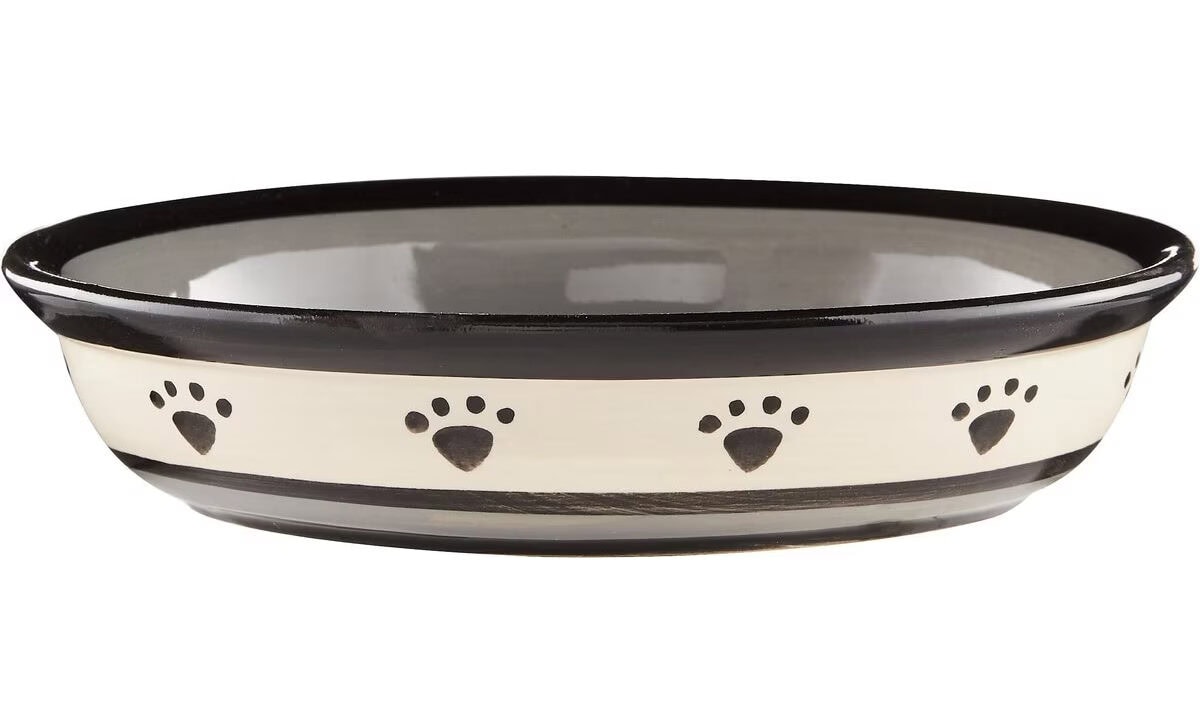PetRageous Designs Metro Oval Ceramic Dog Bowl