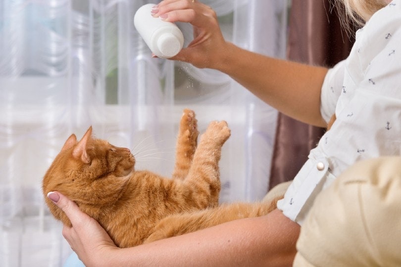 a woman applying dry shampoo to a cat