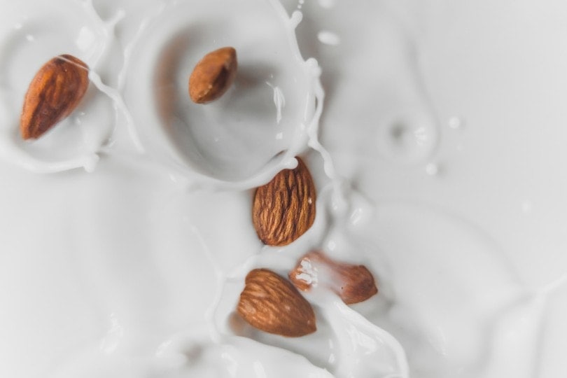 almond milk with almond