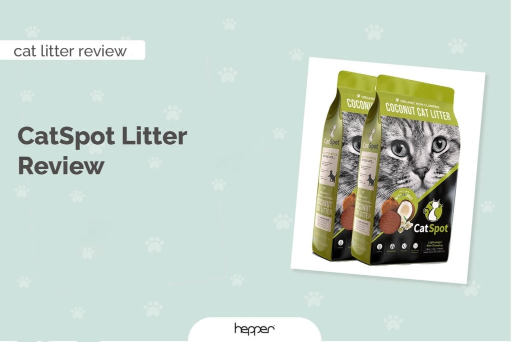 catspot litter review header