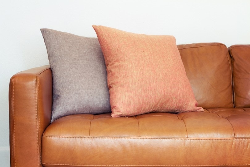 close up of tan leather sofa