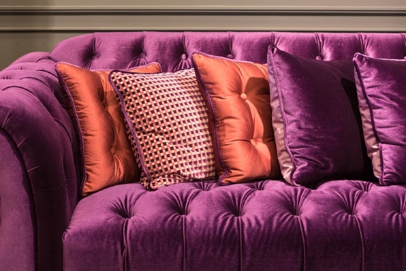 close up of violet velvet sofa