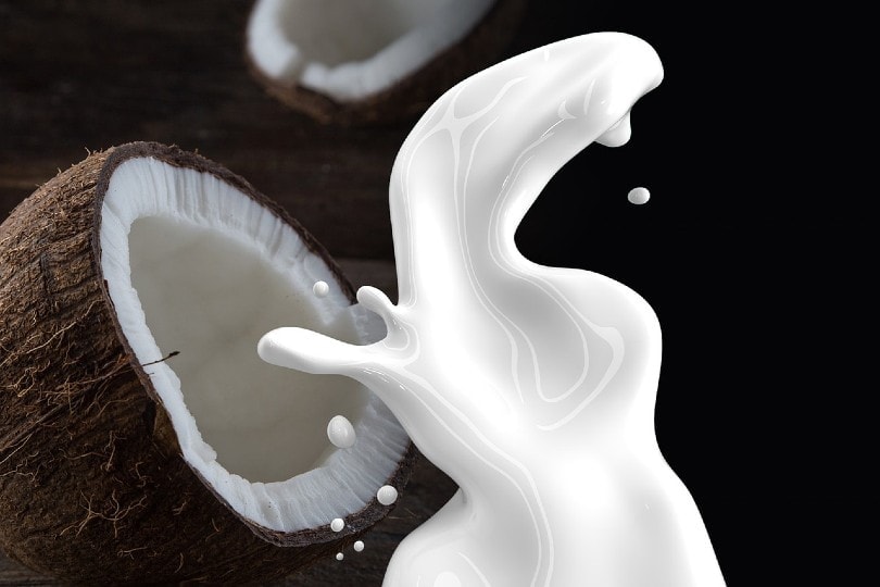 coconut milk