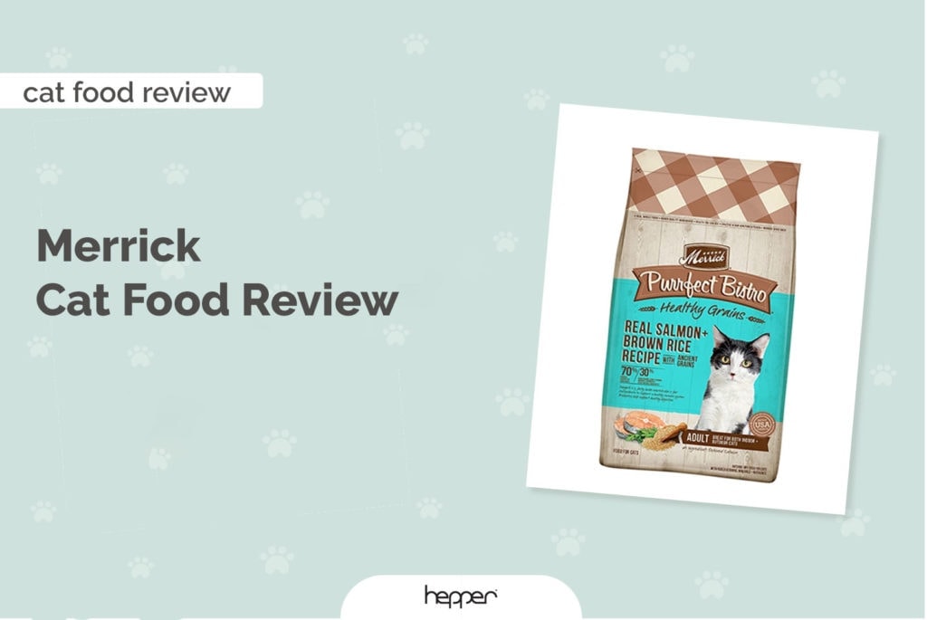 merrick cat food review header