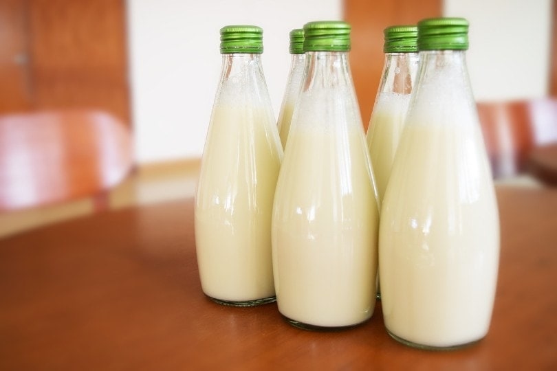 milk in glass bottles