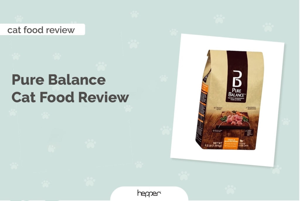 pure balance cat food review header