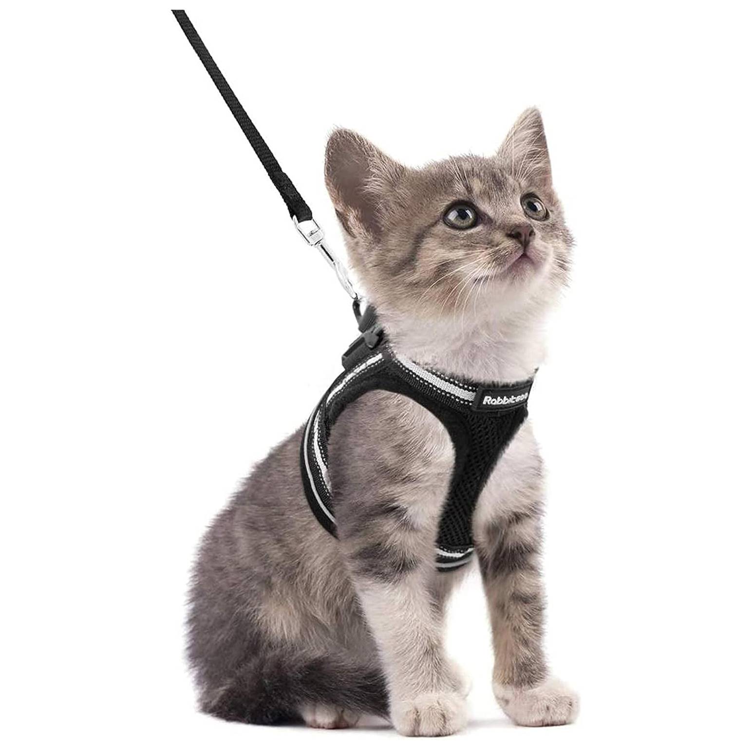 rabbitgoo Cat Harness & Leash